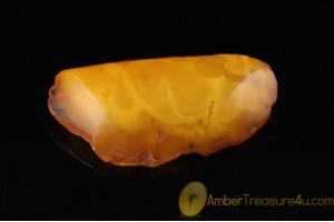 VINTAGE Large Butterscotch BALTIC AMBER Brooch 