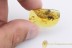 PAUSSINAE Rare Ant Nest BEETLE Inclusion BALTIC AMBER 2144