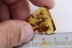 APIDAE 2 Rare Honey Bees Inclusion BALTIC AMBER 2184