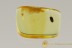 Endomychidae Colorful HANDSOME FUNGUS BEETLE Inclusion BALTIC AMBER 2477